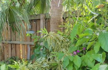 The Butterfly Cottage - Certified Butterfly Sanctuary - Ocean View Hot Tub - Authentic Keys Charm - Foto 24