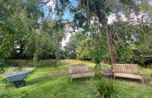 Vane Cottage - Lewes - Photo 28