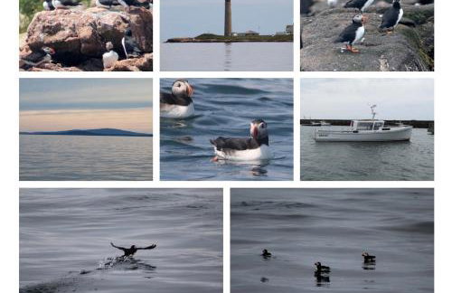 Cozy Coastal Cabin 1 - Foto 21