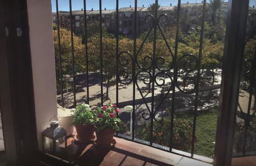 Golondrina - Foto 21