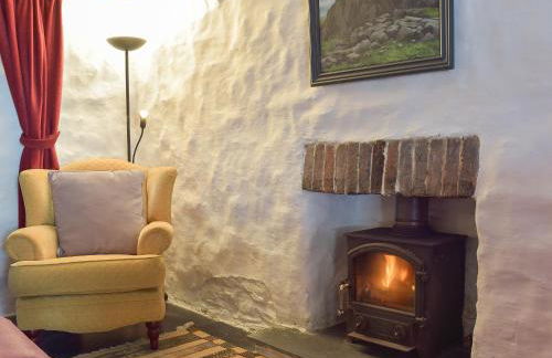 Old Dinas Arms - Foto 15