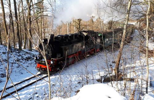 ****Fewo "Alltag...ADE'" - Foto 31