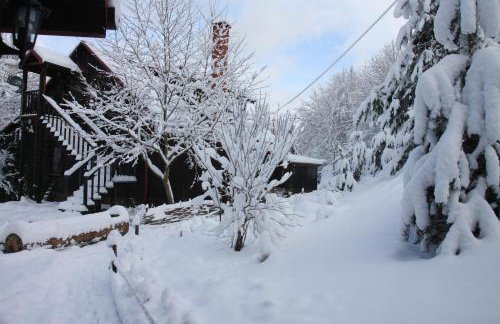 Ropuszy Dwór - Foto 50