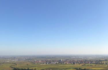 Ferienwohnung Vino Palatina - Foto 19