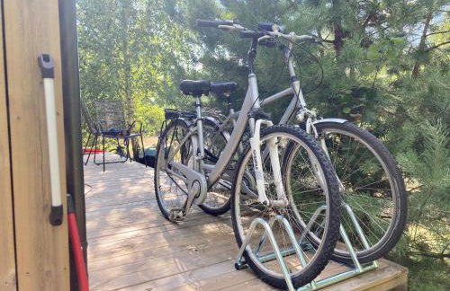 Przystanek Naglady Warmia- całoroczny, duża leśna działka - Foto 35