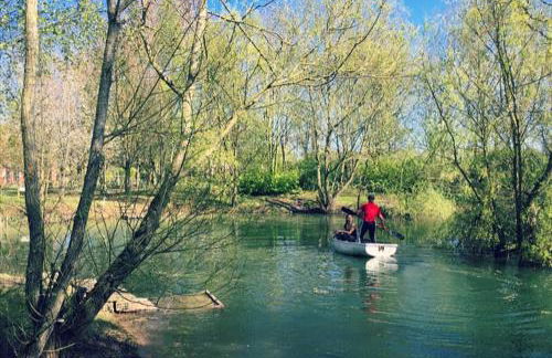 Rose cottage - Photo 29