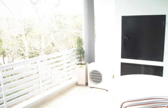 Avutarda de Carilo - Photo 40