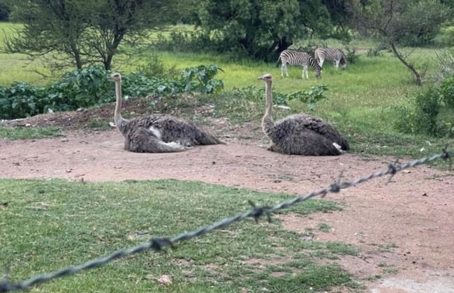 Kings View Exclusive Villas - Foto 52