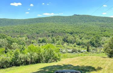 Cozy Historic Cabin with stellar view of Big Schloss - Foto 17