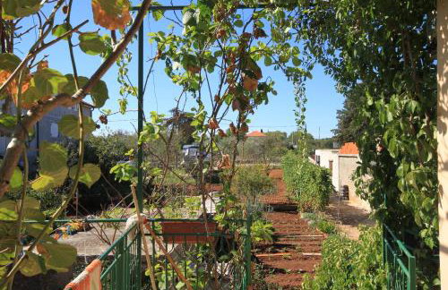 Apartments with a parking space Ugljan - 8416 - Foto 24