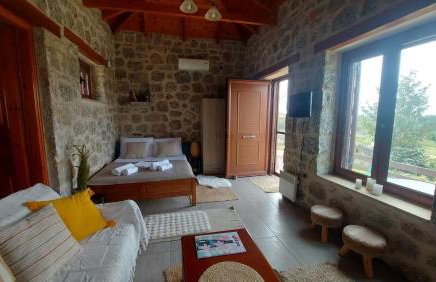 homonatura petrinum - Foto 8