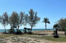 Acogedor apartamento en la playa con WIFI y AACC - Foto 6