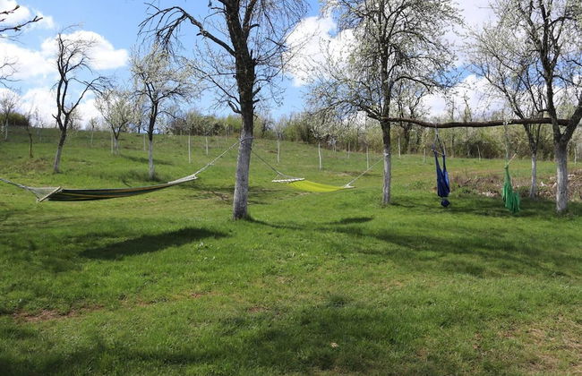 Charming 2bed Cottage in Carasova, Banat Mountains - Foto 31