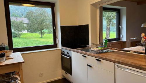 Haus Oberwössen Studio #2 Rechenberg mit Sauna - Foto 2