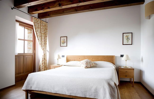 L'Uva e le stelle - Foto 3