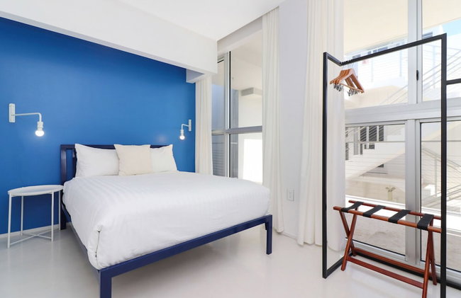 Roami at 250 Collins - Foto 39