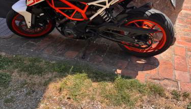 La corte dei celti -10 - Foto 4