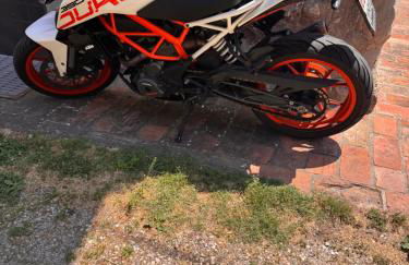 La Corte dei Celti La fonte - Foto 14