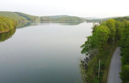 The Fox Den - Foto 42