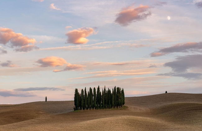 Vento Dorcia - Foto 43