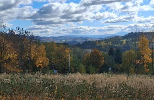 Sowie Pokoje - Foto 35