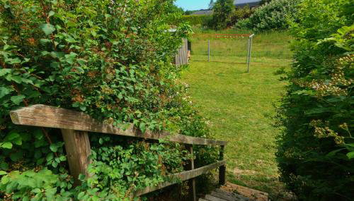 NEU! Ferienhäuser - Heringsdorf - Foto 2