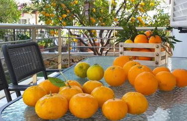 Lemonokipos, holiday house with private pool - Foto 46