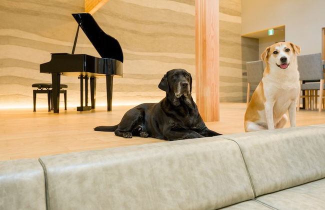 Rakuten STAY VILLA Kamogawa - Foto 11