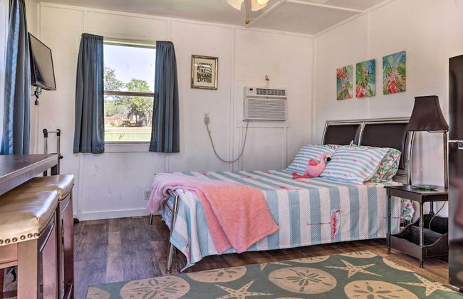 Flirty Flamingo' Studio: 1 Mi to Canyon Lake - Foto 37