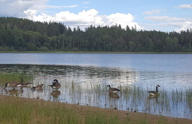 5 Person Holiday Home in Morlunda - Foto 47