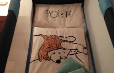 Ferienwohnung mit Elbwiesenblick - Foto 7