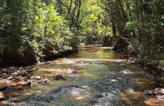 Refúgio em Macacos para até 12 hóspedes com piscina aquecida, 5 suítes e riacho - Foto 10