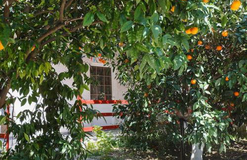 CottonClub Villas - Foto 27