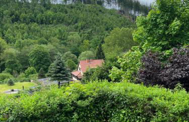 Ferienhaus Talblick, im Luftkurort Finsterbergen - Photo 6