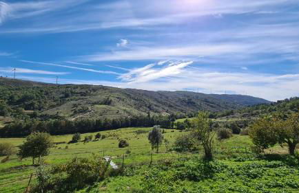 Quinta da Alqueidosa - Casa de Campo - Foto 37