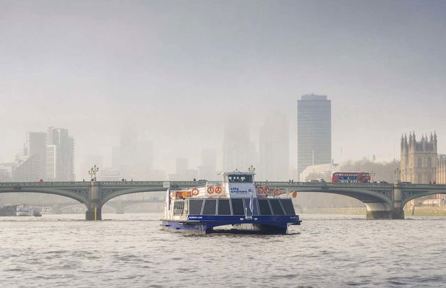 Balade en bateau + Thé de l'après-midi - Photo 2