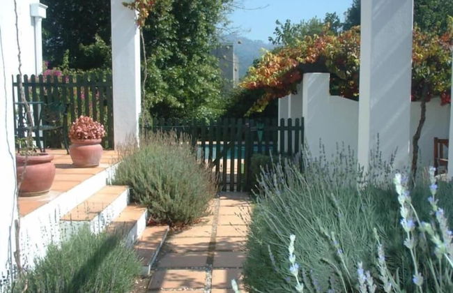 Sunny Lane - Foto 13