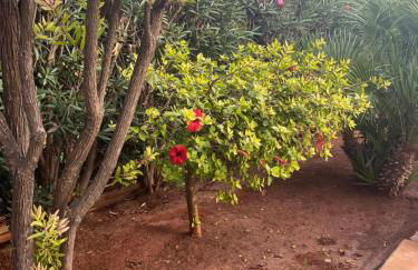 Villa Verabetta - Foto 77