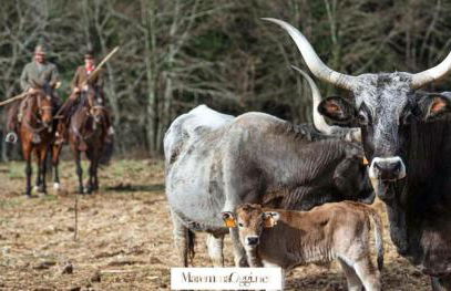 Villa Podere 109 - BioWine - Foto 62