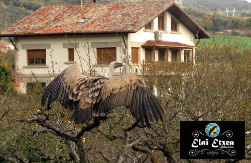 Elai Etxea Loft Baias - Foto 16