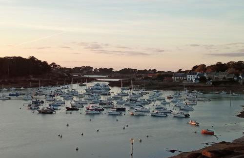 Escale à Ploumanac'h - Foto 8