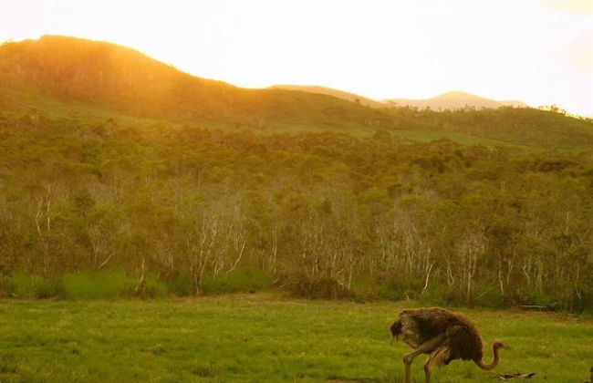 La Petite Ferme - Foto 20