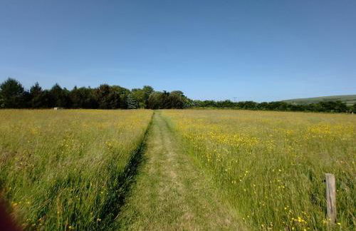 Seadom House - Foto 17