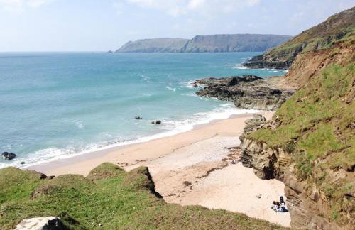 Malborough Park - Foto 37