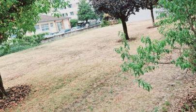 Le Claudius - Foto 2, Garden