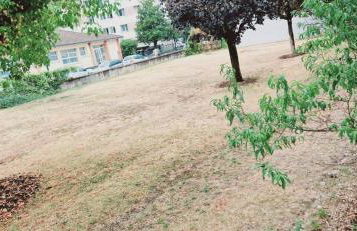 Le Claudius - Foto 2