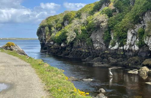 Self Catering house with lovely sea views, 44 Back - Photo 22