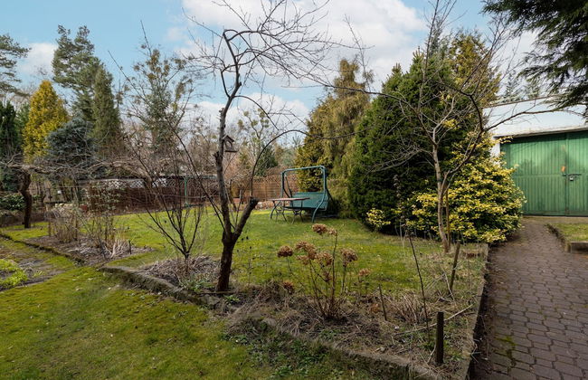 Dom Dostępna 62A - Foto 34