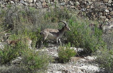 vistas a mar, en paraje natural - Foto 60