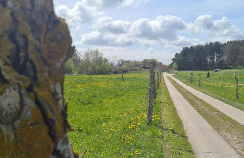 Garten-Ferienhaus Biendorf OT Westenbrügge - Foto 11